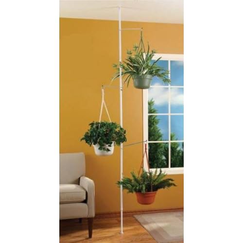 Amazon.com : SPRING TENSION ROD INDOOR PLANT POLE WITH 3 